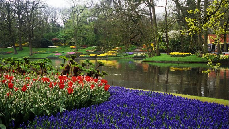 Keukenhofparken
