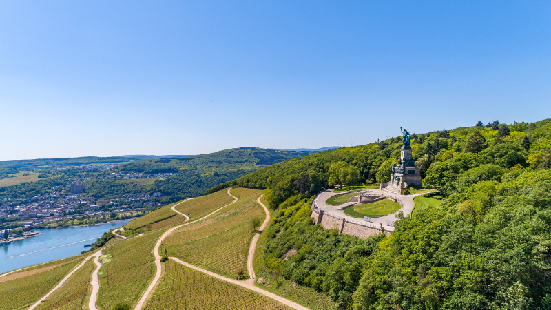 Vinodlingar i Rüdesheim